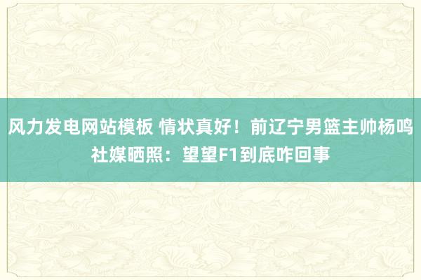 风力发电网站模板 情状真好！前辽宁男篮主帅杨鸣社媒晒照：望望F1到底咋回事