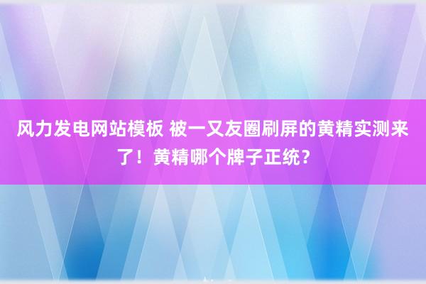 风力发电网站模板 被一又友圈刷屏的黄精实测来了！黄精哪个牌子正统？