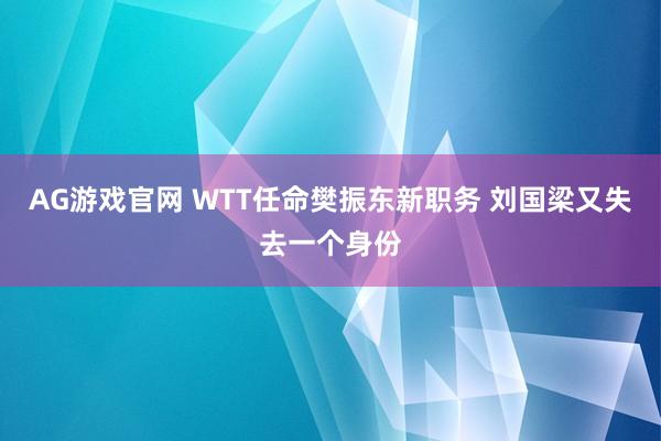 AG游戏官网 WTT任命樊振东新职务 刘国梁又失去一个身份