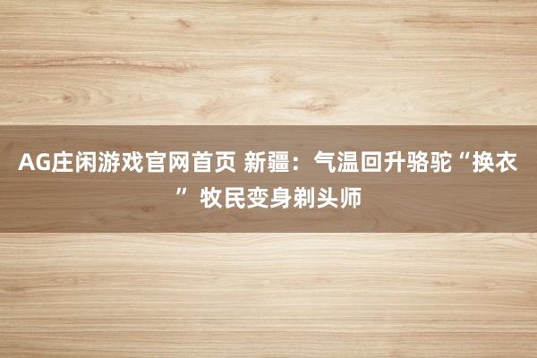 AG庄闲游戏官网首页 新疆：气温回升骆驼“换衣” 牧民变身剃头师