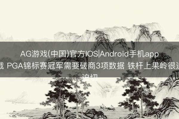 AG游戏(中国)官方IOS|Android手机app下载 PGA锦标赛冠军需要磋商3项数据 铁杆上果岭很迫切
