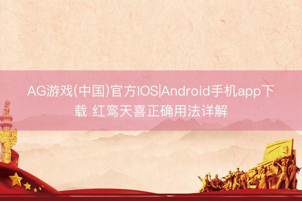 AG游戏(中国)官方IOS|Android手机app下载 红鸾天喜正确用法详解