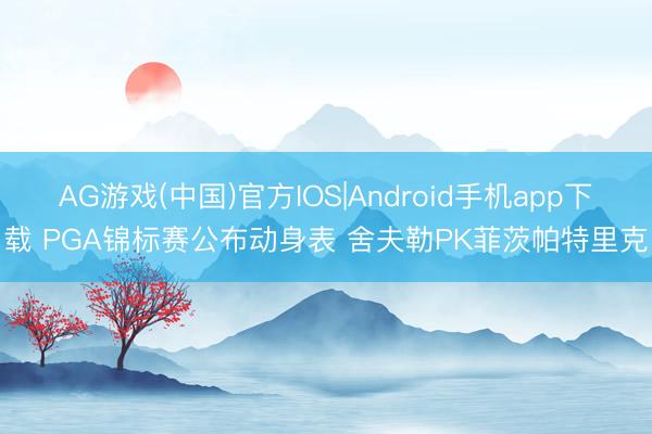 AG游戏(中国)官方IOS|Android手机app下载 PGA锦标赛公布动身表 舍夫勒PK菲茨帕特里克