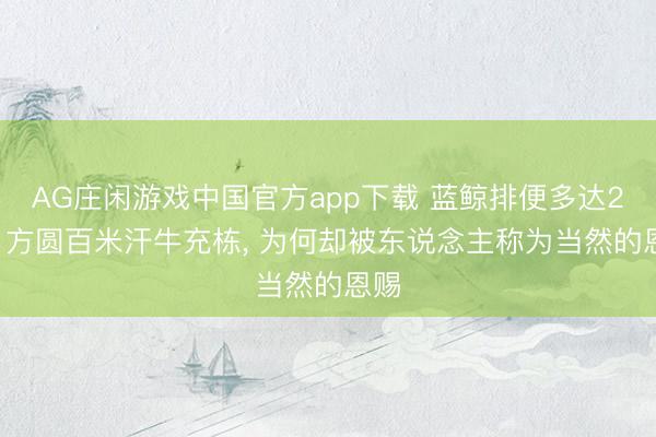 AG庄闲游戏中国官方app下载 蓝鲸排便多达2吨! 方圆百米汗牛充栋, 为何却被东说念主称为当然的恩赐