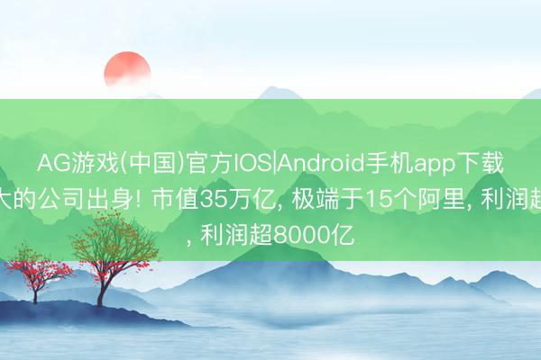AG游戏(中国)官方IOS|Android手机app下载 众人最大的公司出身! 市值35万亿， 极端于15个阿里， 利润超8000亿