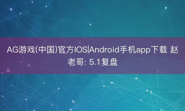 AG游戏(中国)官方IOS|Android手机app下载 赵老哥: 5.1复盘