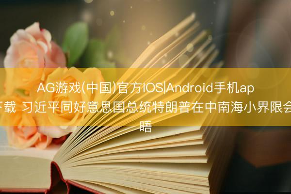 AG游戏(中国)官方IOS|Android手机app下载 习近平同好意思国总统特朗普在中南海小界限会晤
