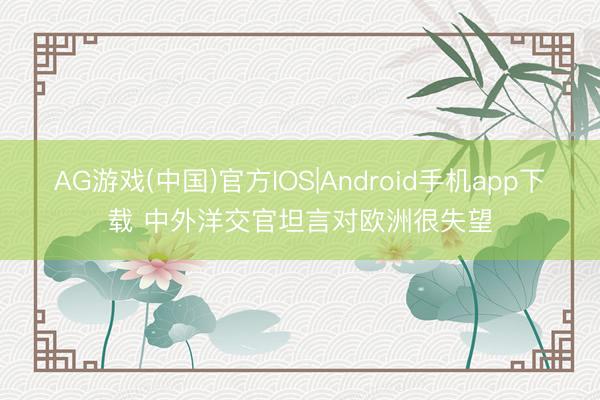 AG游戏(中国)官方IOS|Android手机app下载 中外洋交官坦言对欧洲很失望