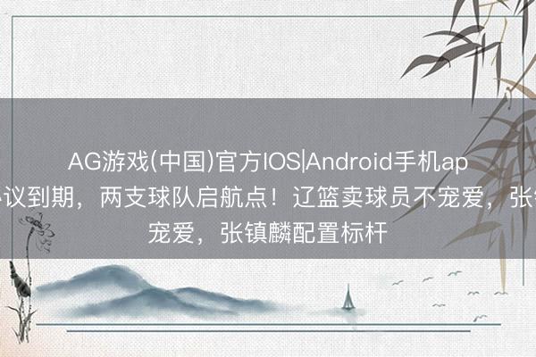 AG游戏(中国)官方IOS|Android手机app下载 付豪协议到期，两支球队启航点！辽篮卖球员不宠爱，张镇麟配置标杆