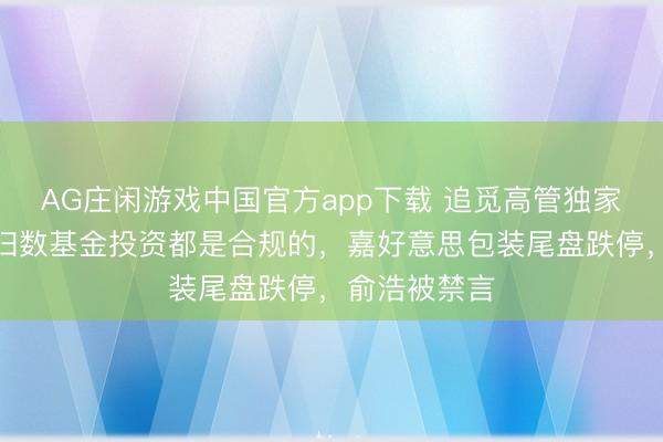 AG庄闲游戏中国官方app下载 追觅高管独家复兴！旗下扫数基金投资都是合规的，嘉好意思包装尾盘跌停，俞浩被禁言