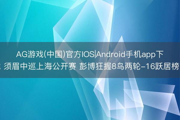 AG游戏(中国)官方IOS|Android手机app下载 须眉中巡上海公开赛 彭博狂握8鸟两轮-16跃居榜首